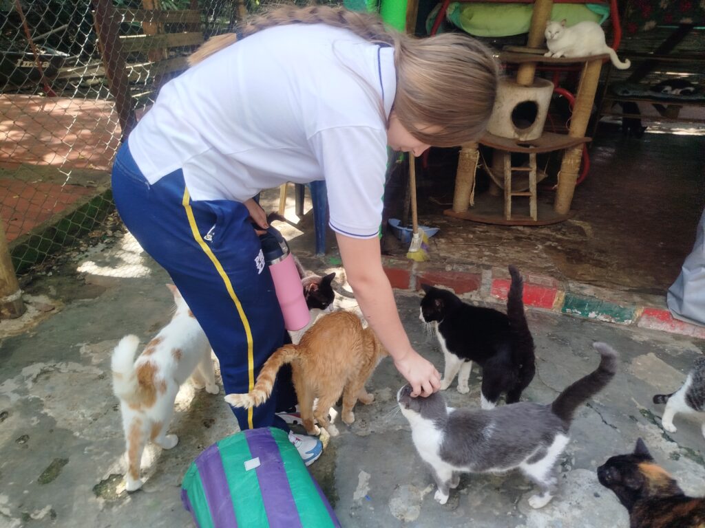 Estudiantes del Colegio Franciscano Pío XII en una experiencia educativa en una fundación de animales