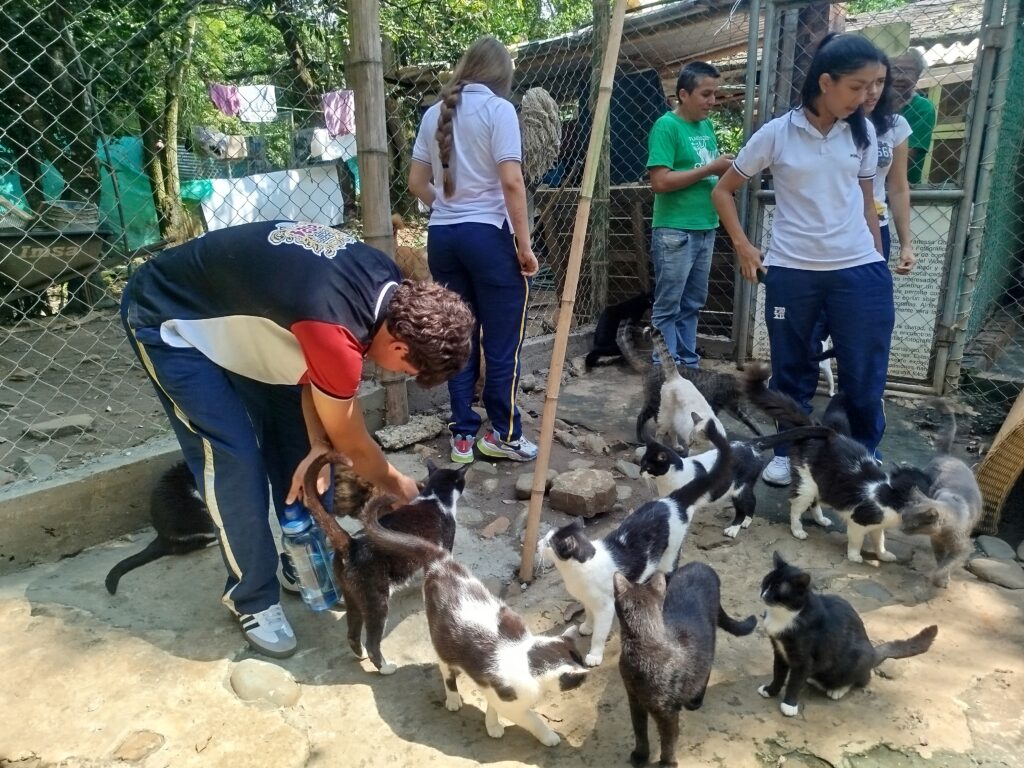 Estudiantes interactuando con animales en una fundación