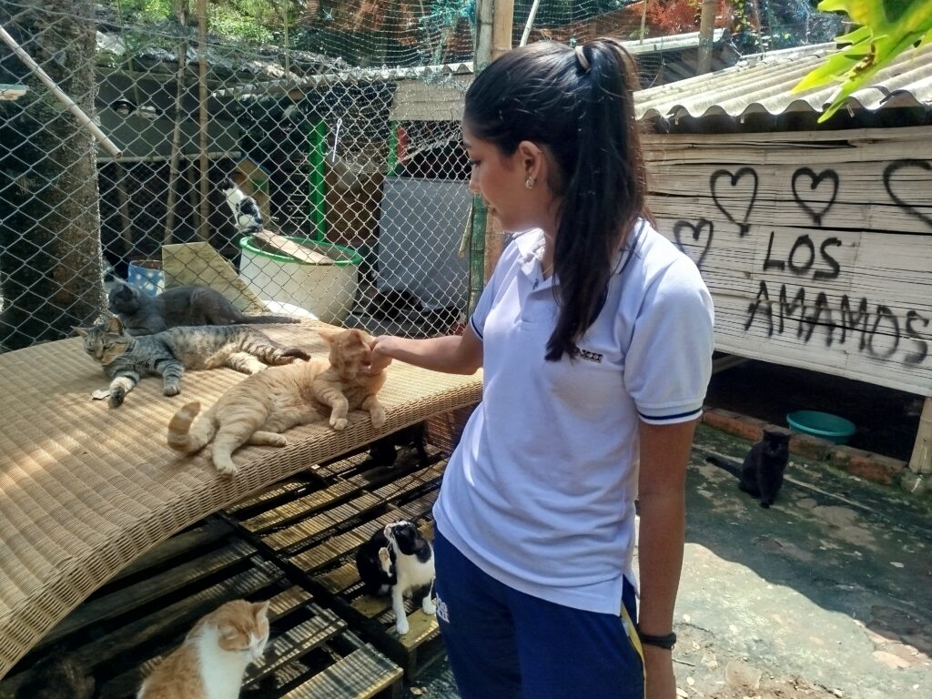 Estudiantes aprendiendo sobre el cuidado de animales en una fundación