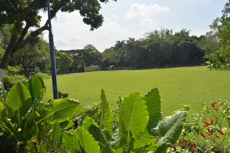Espacios naturales con árboles y vegetación en el Colegio Franciscano Pío XII