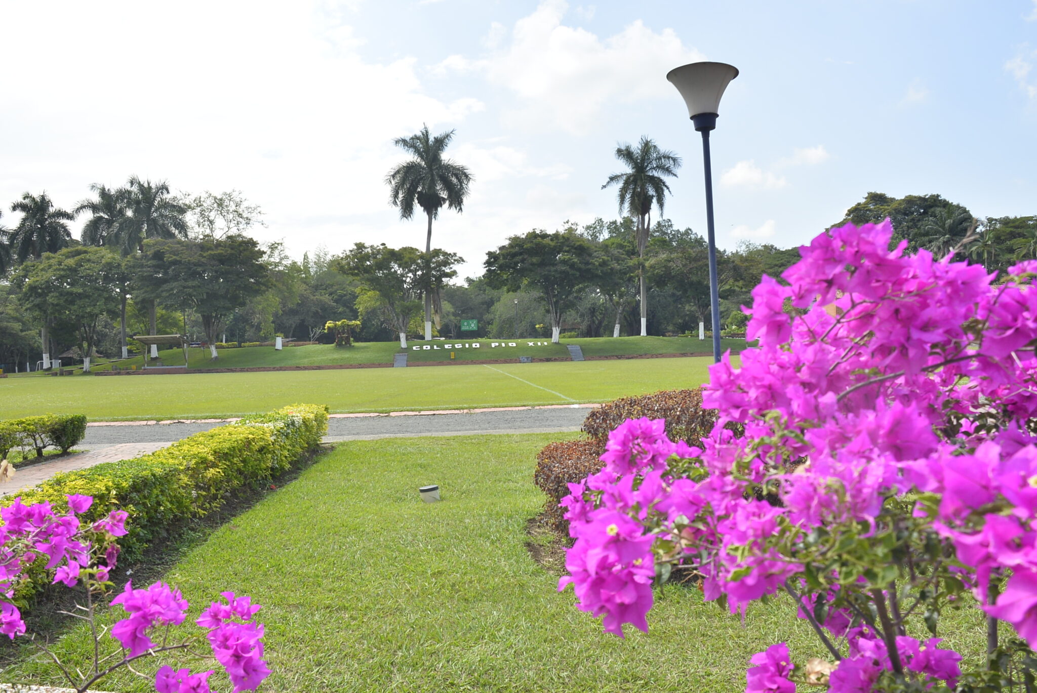 Parque y jardines verdes en el Colegio Franciscano Pío XII Título: "Senderos Naturales del Colegio Franciscano Pío XII