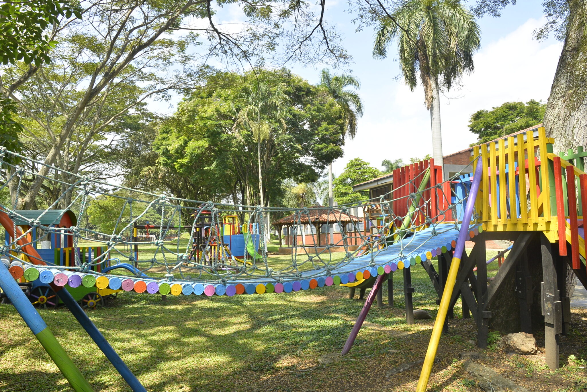 Árboles y vegetación en los espacios verdes del Colegio Franciscano Pío XII